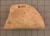 002-EF-08-109-9324.jpg (139087 bytes)