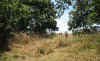 03 Chapel Bank (ruin), Ebony some gravestones still surviving.jpg (206751 bytes)