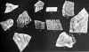 Plate_04_Fragments_of_Marble_Inscription.JPG (66707 bytes)