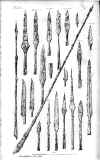 Plate 14 80 dpi.JPG (54318 bytes)