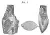 Fig 1 Struck flint.JPG (18632 bytes)