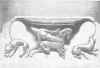 Page 370a facing copy.JPG (36498 bytes)