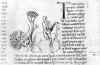 Tiger and the Mirror - Plate I.JPG (111884 bytes)