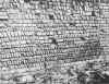 Early Brick Walling, Dover.JPG (28964 bytes)
